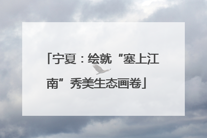 宁夏：绘就“塞上江南”秀美生态画卷
